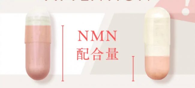 NMN２